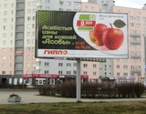  Почему выгодно размещать рекламу летом?